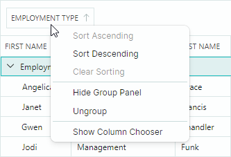 datagrid-groupcolumn-headermenu