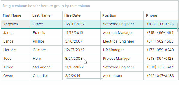 data grid - fixed columns